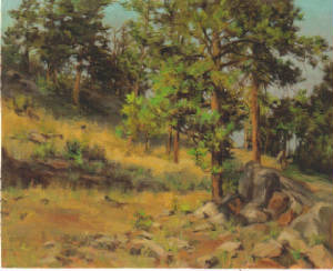 bccoloradofoothills.jpg